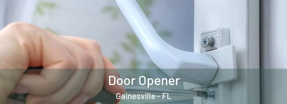 Door Opener Gainesville - FL