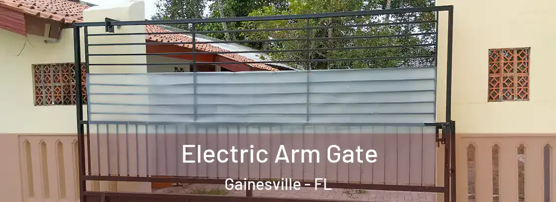 Electric Arm Gate Gainesville - FL