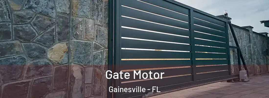 Gate Motor Gainesville - FL