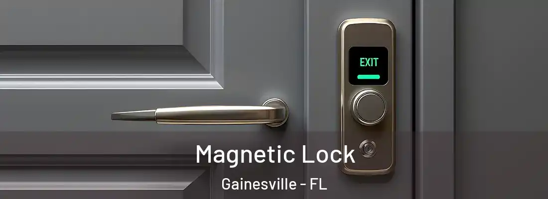 Magnetic Lock Gainesville - FL